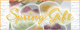 2010 Spring Gift