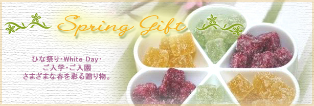 2010 Spring Gift